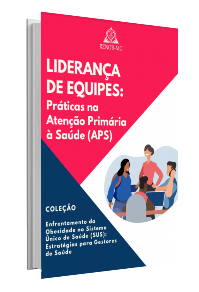 Lançamento do e book Liderança de equipes RENOB MG